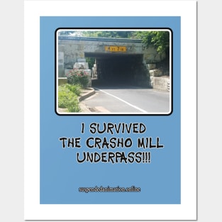Casho Mill Underpass Survivor Posters and Art